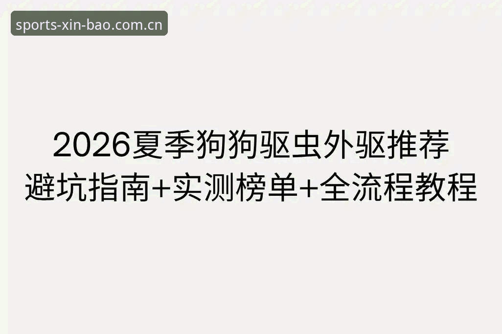 新宝体育安装教程详解：从入门到精通的全流程指南